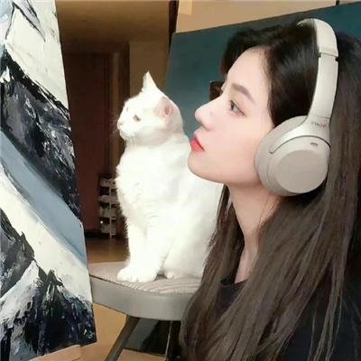 扶摇 封面